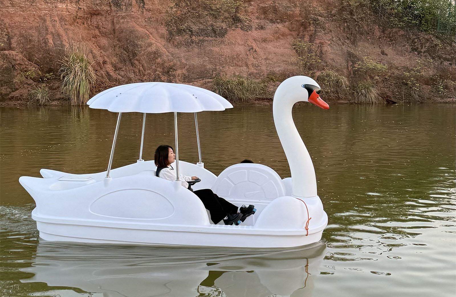swan pedal boat cost swan pedal boat cost